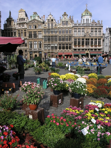 Брюксел през погледа на един местен
