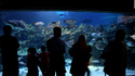 Пловдив ще има аквариум с акули и нов зоопарк