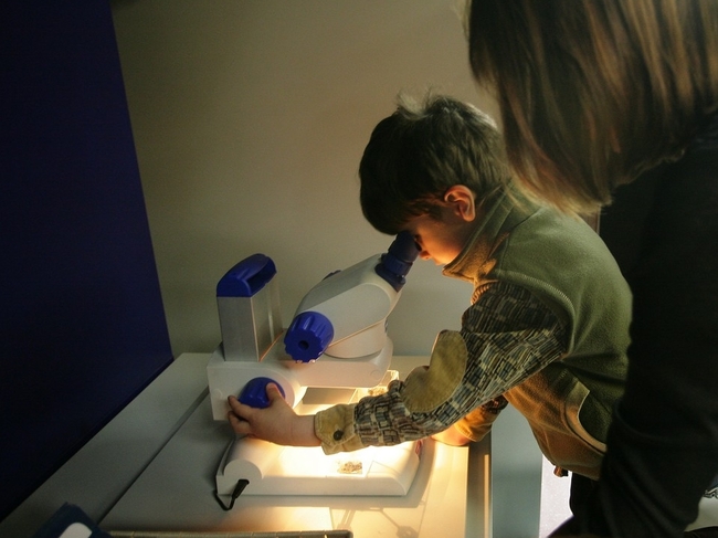 Музеи с детски кът в България - Геоложки кът в Музей Земята и хората