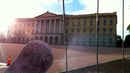 Да пътуваш като Истинския Типун - Кралският дворец в Осло