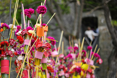 Фестивал на цветята/ Temps de Flors