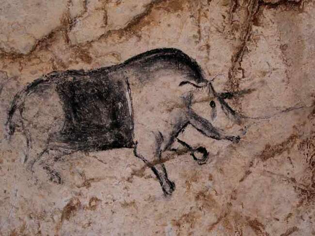 Пещерата Шове и най-старите пещерни рисунки в света - Пещерата Шове, Франция