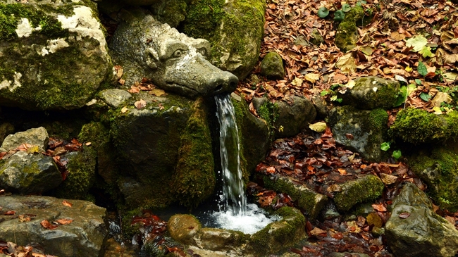 Резултат с изображение за извор боснек 