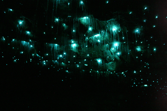 7 уникални места, които да видите - Пещерите със светещи червеи в Нова Зеландия