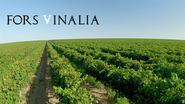 Fors Vinalia и виното на легиона - от традицията до новаторството