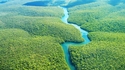 Нов национален парк пази джунглите на Амазония