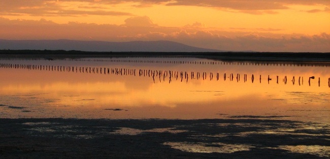 Поморийското езеро – откривай птиците с бинокъл