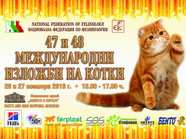 Международна изложба на котки