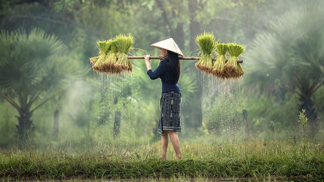 Виетнам: 15 съвета за начинаещи