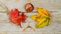 7 причина да обичаме есента