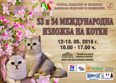 Международни изложби на котки