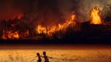 11 неща, които ще се случат с нашата планета, ако тропическата гора в Амазонка изгори