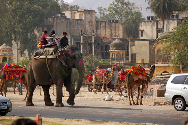 Индийски приключения с Николай и Елена - Моторни и животински превозни средства споделят градските улици
