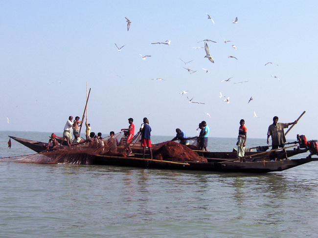 Индийски приключения с Николай и Елена - Рибари насред огромното езеро Чилика в щата Ориса