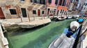 Лебеди и делфини се връщат в каналите на Венеция заради по-чистата вода и въздух