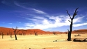 10-те най-красиви пустини в света