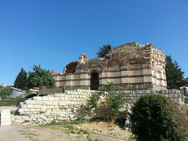 Най-интересното за базиликте в България