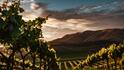9-те най-подценявани винарски региона в света