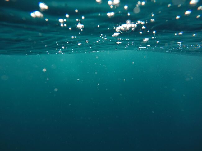 12 очарователни факта за Световния океан