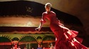 30 любопитни факта за фламенкото