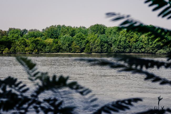 9 неща, които не знаете за река Дунав