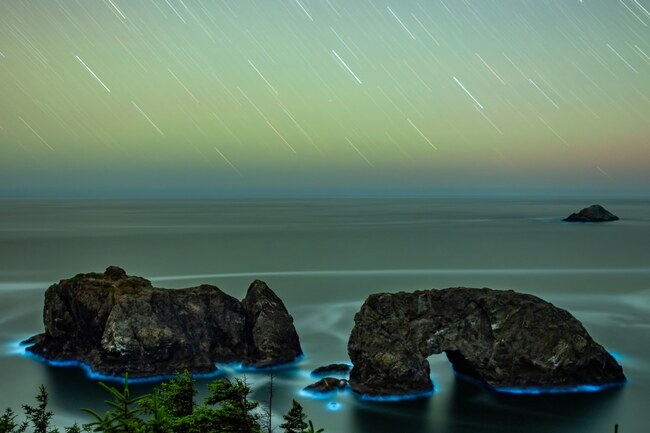 Хипнотизиращо синьо биолуминесцентно сияние край бреговете на Орегон
