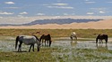 30 факта за Монголия