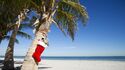 Как се празнува Коледа на Хавайските острови?