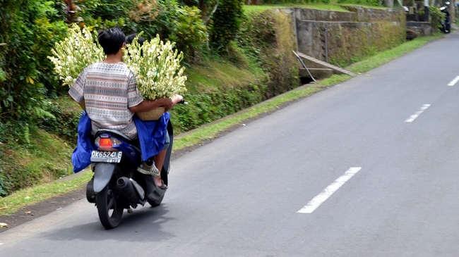 Скутерът в Бали - начин на употреба
