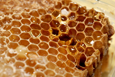 Международно изложение за пчеларство
