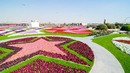 Най-голямата цветна градина... в дубайската пустиня