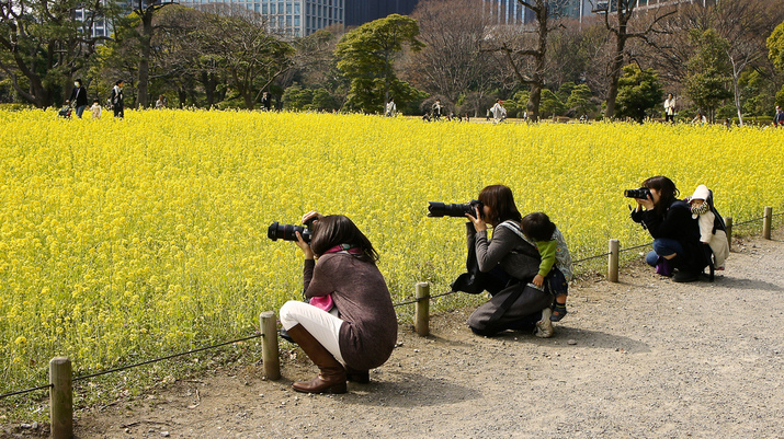 Снимка на деня: Японски мами фотографи