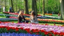 Кукенхоф: Приказните градини с лалета в Холандия