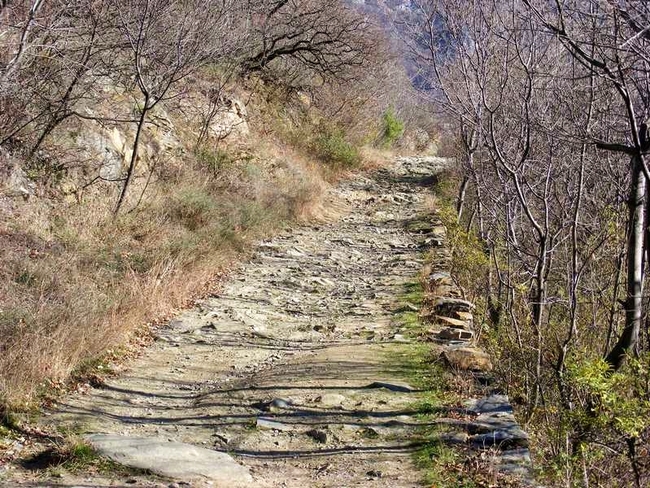 От Асенова крепост до река Луковица по римския път - ...и аз тръгвам по този път.