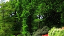 Фото сряда: Най-красивите пейки с гледка - Градините Сейвил, Великобритания