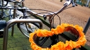 Наръчник на начинаещия колоездач в Холандия