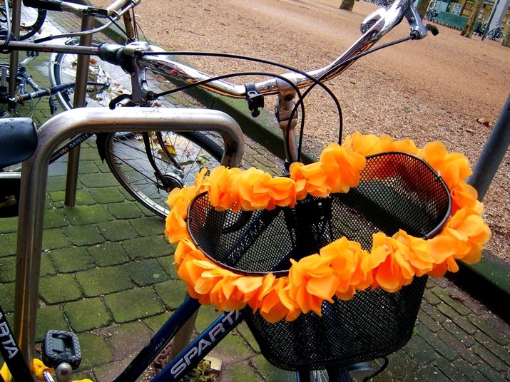 Наръчник на начинаещия колоездач в Холандия