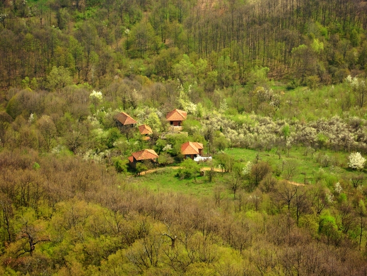 Боженишка Урвич: Крепост за откриватели