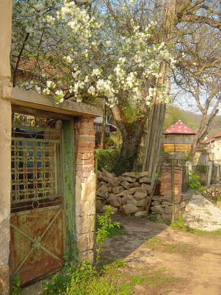 Село Боженица: Пролетни приказки