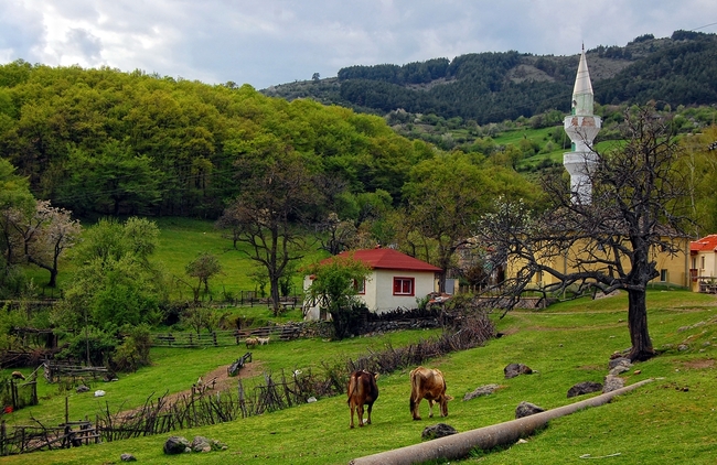 Дивото зове: Най-дългите 5 км в Родопите