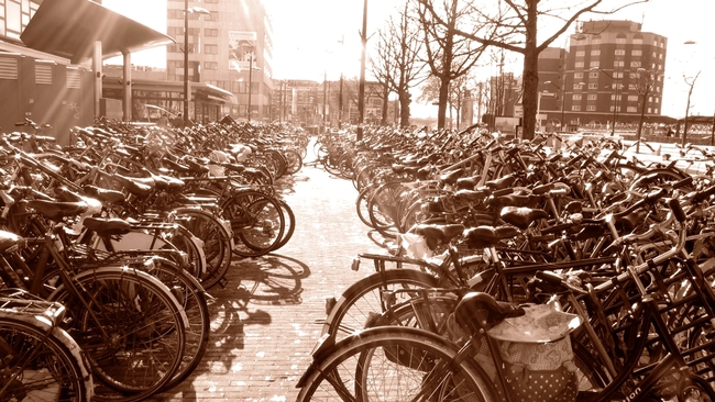 Холандия през погледа на един социален учен