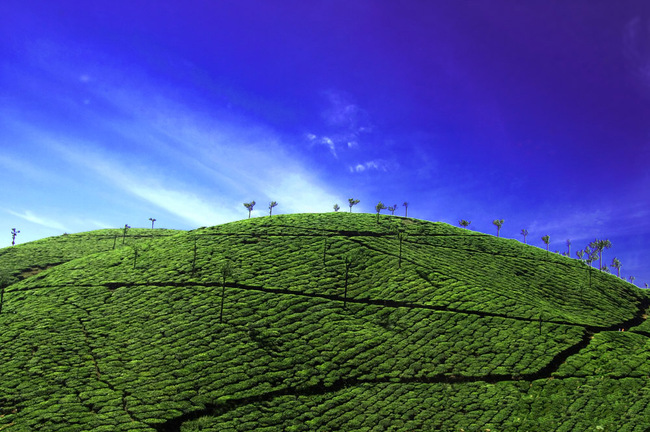 Топ 10 забележителности в Индия - Керала - страната на бога