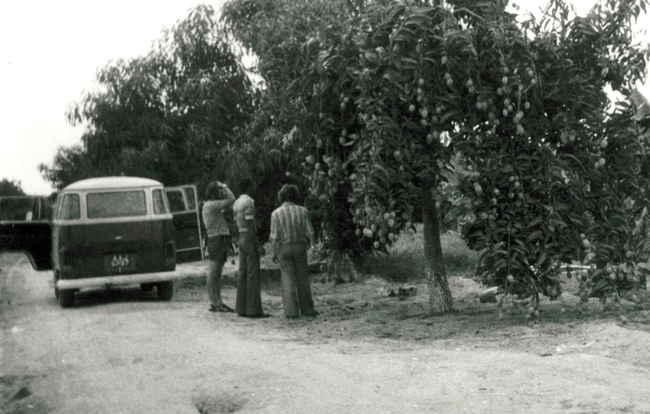Пътуване във времето: В Ангола по време на война