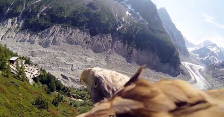 Светът през погледа на летящ орел (видео)