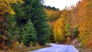 Маршрути по следите на есенните листа - Средна гора