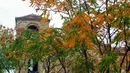 Маршрути по следите на есенните листа - Асенова крепост