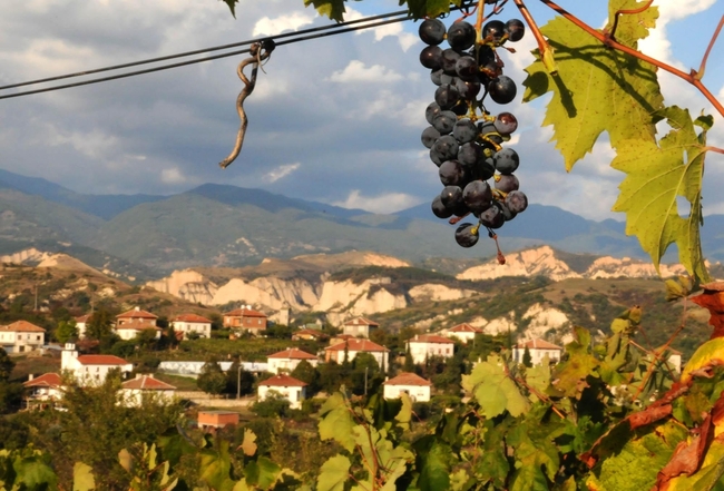 Маршрути по следите на есенните листа - Село Виногради