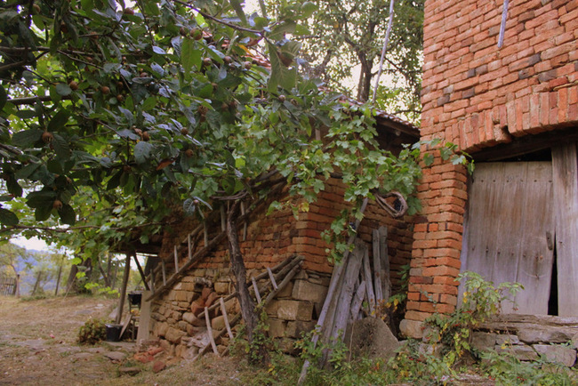 Врабците - по следите на едно забравено село