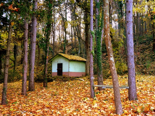 Маршрути по следите на есенните листа - Есен край Къпиновски манастир