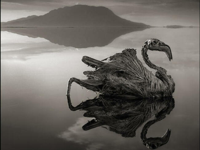 Топ 10 смъртоносни езера в света - Езерото Натрон, Танзания